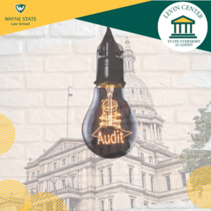 Image depicting a lightbulb with the word Audit inside